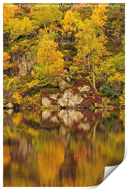 Reflections of Autumn Print by Louise Heusinkveld