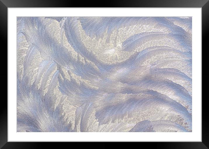 Frost Framed Mounted Print by Mary Lane