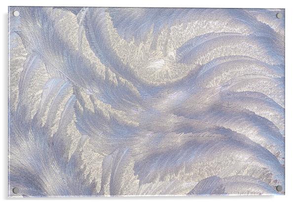Frost Acrylic by Mary Lane