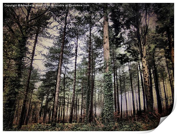 Parkhurst Trees Print by Annabelle Ward