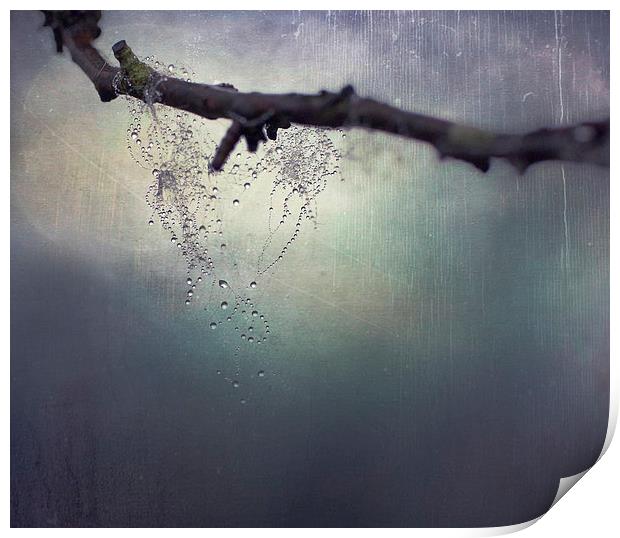 Natures Teardrops Print by Dawn Cox