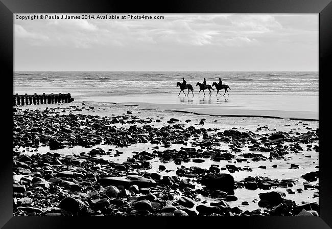 Horses on Amroth Beach Framed Print by Paula J James