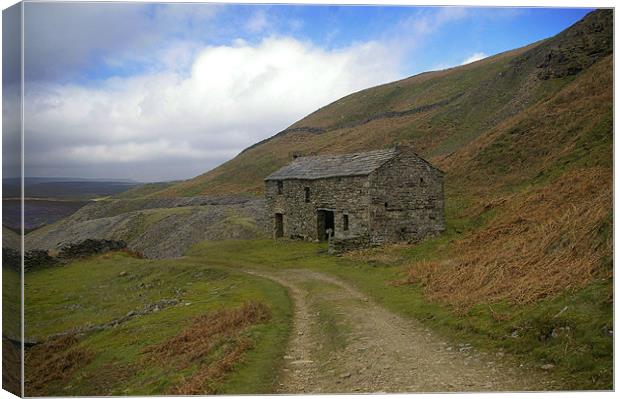 Stone Cottage,Yorkshire Dales Canvas Print by David Borrill