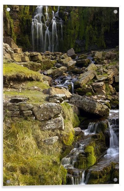 Waterfall Yorkshire Dales Acrylic by David Borrill