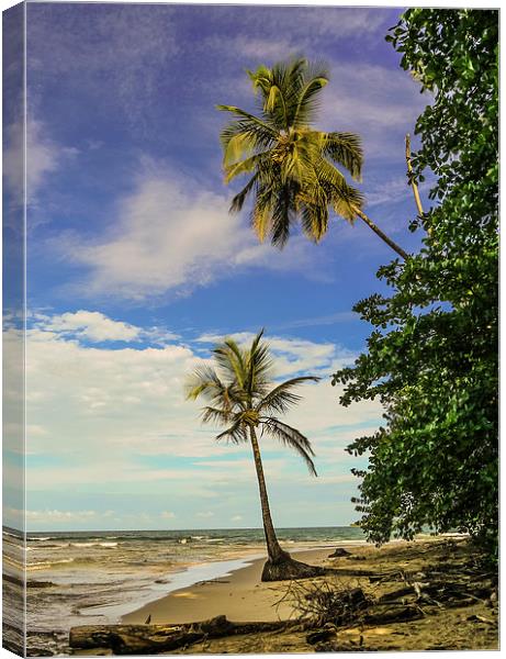 Palm Tree Paradise Canvas Print by Laura Kenny