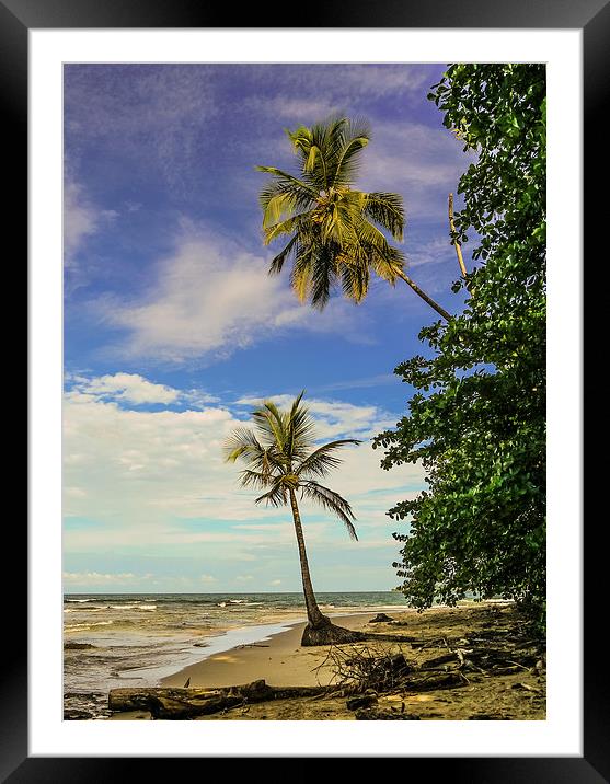 Palm Tree Paradise Framed Mounted Print by Laura Kenny