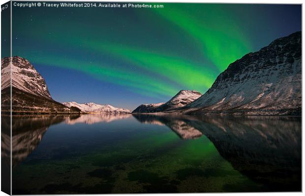 Reflections of Aurora Canvas Print by Tracey Whitefoot