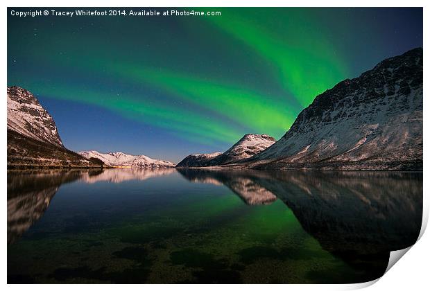 Reflections of Aurora Print by Tracey Whitefoot