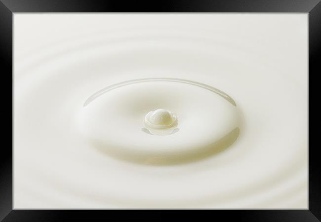 Milk Droplet Framed Print by Malcolm Wood