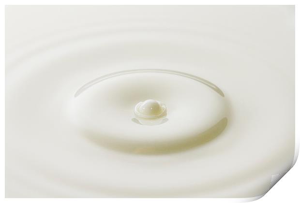 Milk Droplet Print by Malcolm Wood