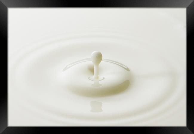 Milk Splash Framed Print by Malcolm Wood