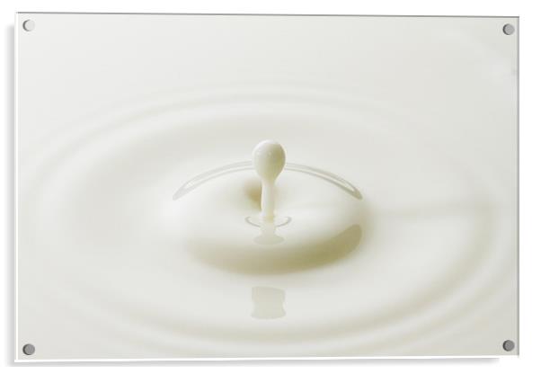 Milk Splash Acrylic by Malcolm Wood
