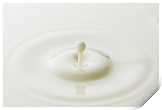 Milk Splash Print by Malcolm Wood