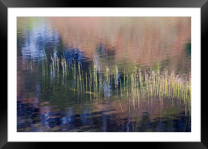 Reflections in Corran Lochan, Cowal, Scotland Framed Mounted Print by Colin Tracy