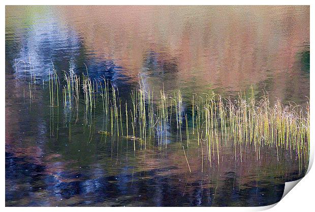 Reflections in Corran Lochan, Cowal, Scotland Print by Colin Tracy