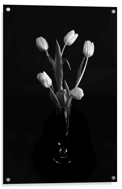 Tulips Acrylic by Paul Want