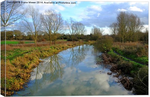 River Blackwater  near Maldon Essex Canvas Print by Diana Mower