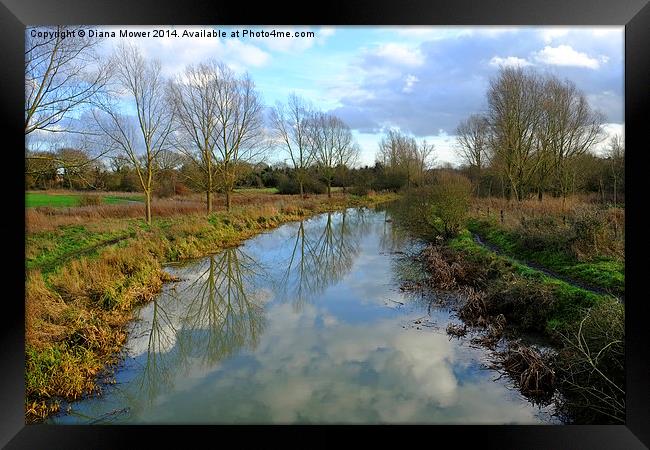 River Blackwater  near Maldon Essex Framed Print by Diana Mower