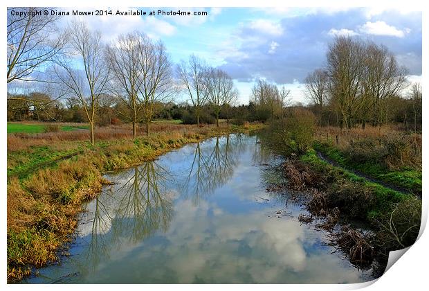River Blackwater  near Maldon Essex Print by Diana Mower