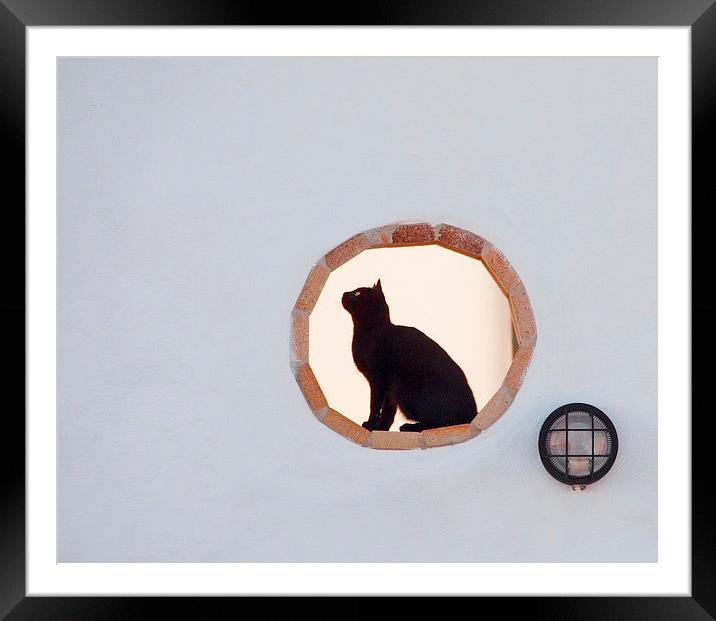 Hunting Cat Framed Mounted Print by Geoff Storey