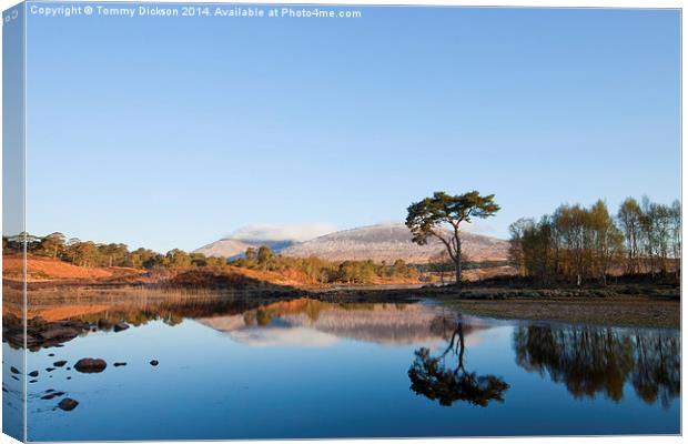 Serenity of Loch Tulla Canvas Print by Tommy Dickson