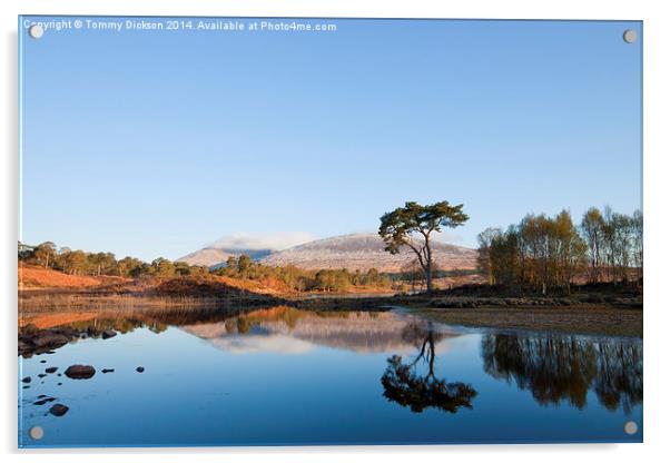 Serenity of Loch Tulla Acrylic by Tommy Dickson