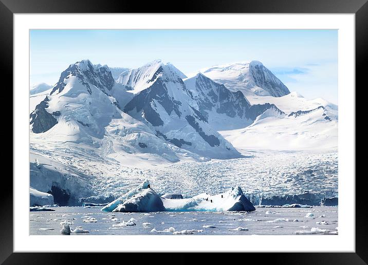 Cierva Cove Glaciers & Iceberg Framed Mounted Print by Carole-Anne Fooks