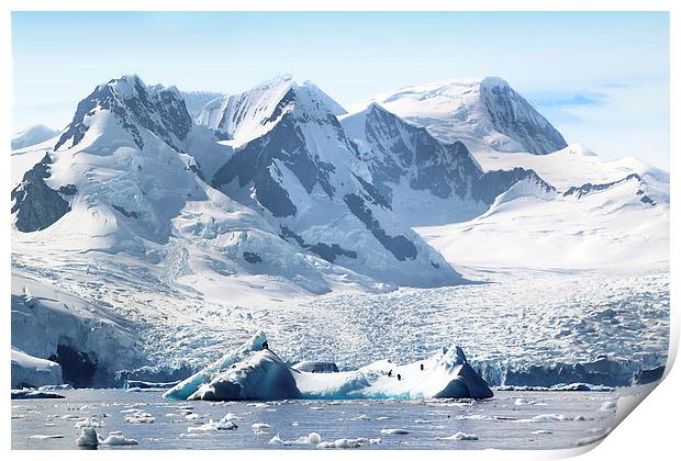 Cierva Cove Glaciers & Iceberg Print by Carole-Anne Fooks
