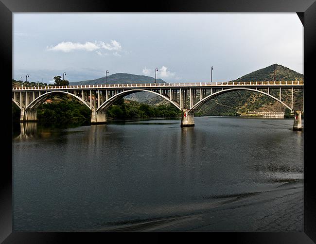 The bridge Framed Print by Luis Lajas