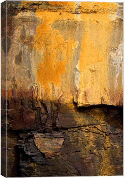 Rock Abstract 2 Canvas Print by Colin Tracy