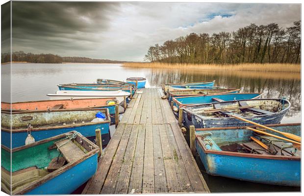 Filby Broad Canvas Print by Stephen Mole