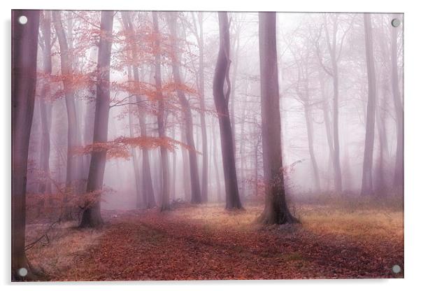 Foggy Woods Acrylic by Ceri Jones