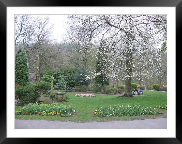 Thee prk in blossomt Framed Mounted Print by JEAN FITZHUGH