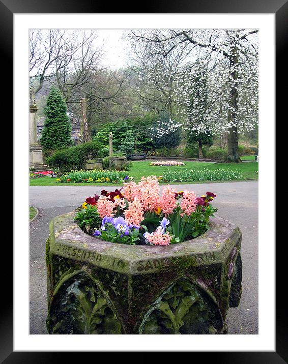 A park full of flowers Framed Mounted Print by JEAN FITZHUGH