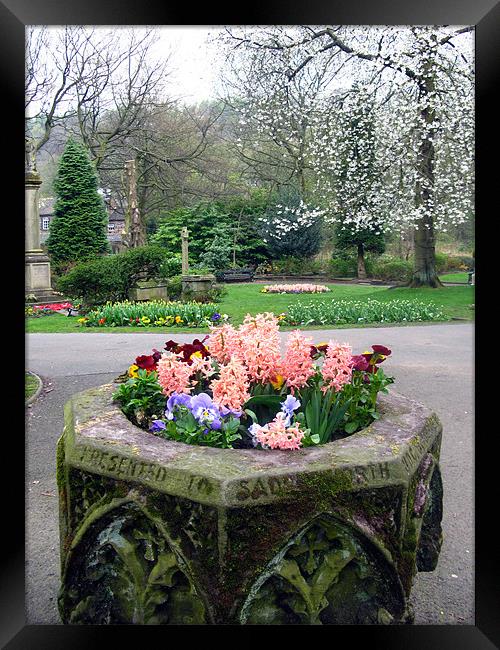 A park full of flowers Framed Print by JEAN FITZHUGH