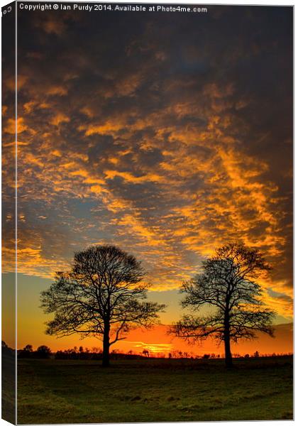 Winter sunset Canvas Print by Ian Purdy