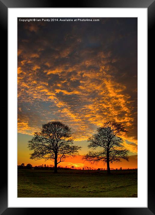 Winter sunset Framed Mounted Print by Ian Purdy