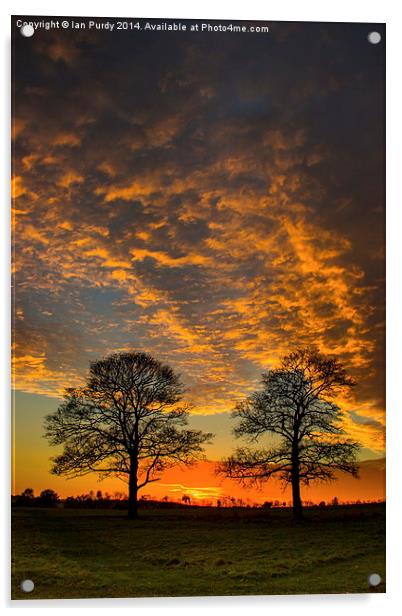 Winter sunset Acrylic by Ian Purdy