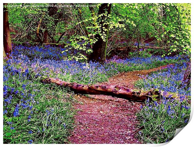 Bluebell Wood Print by Jason Williams