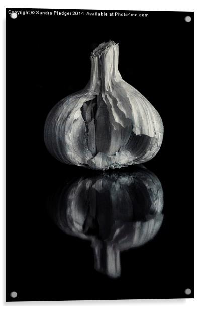 Garlic Acrylic by Sandra Pledger