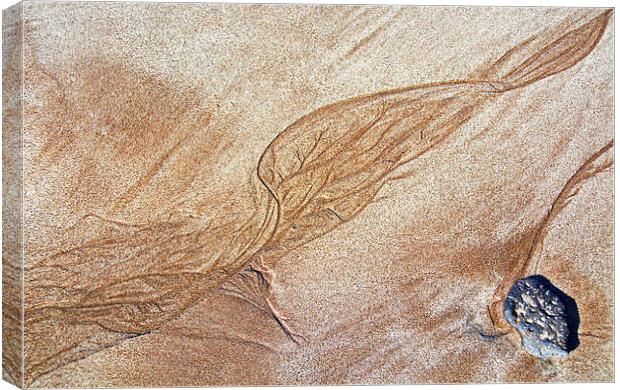 Sand Art Canvas Print by Joyce Storey