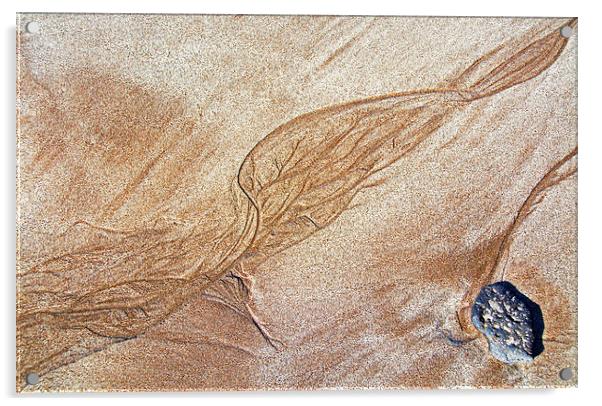 Sand Art Acrylic by Joyce Storey