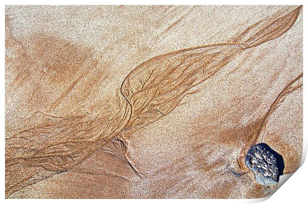 Sand Art Print by Joyce Storey