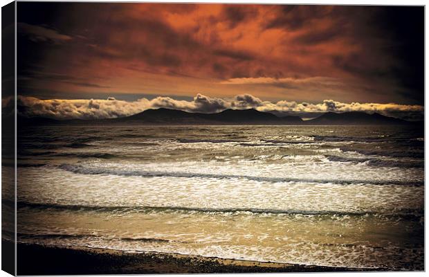 Sea Shore at Llanddwyn Bay Canvas Print by David Yeaman