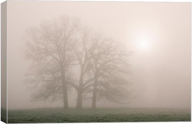 Morning frost and fog over rural countryside scene Canvas Print by Liam Grant