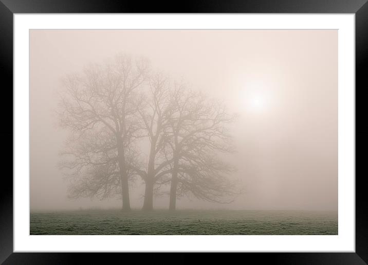 Morning frost and fog over rural countryside scene Framed Mounted Print by Liam Grant