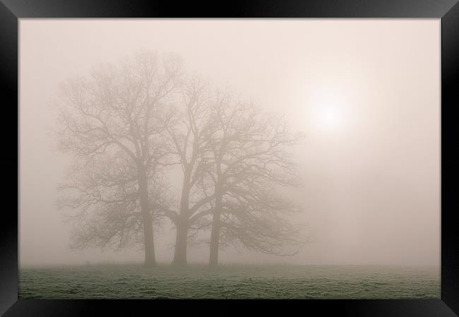 Morning frost and fog over rural countryside scene Framed Print by Liam Grant