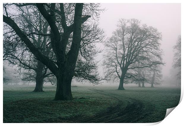 Morning frost and fog over rural countryside scene Print by Liam Grant