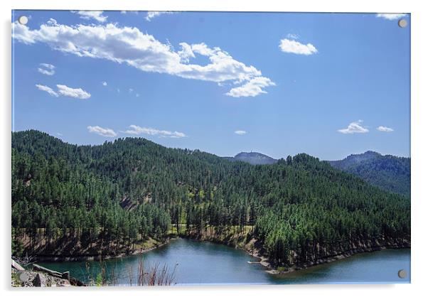 Rocky Mountain Lake Acrylic by Judy Hall-Folde