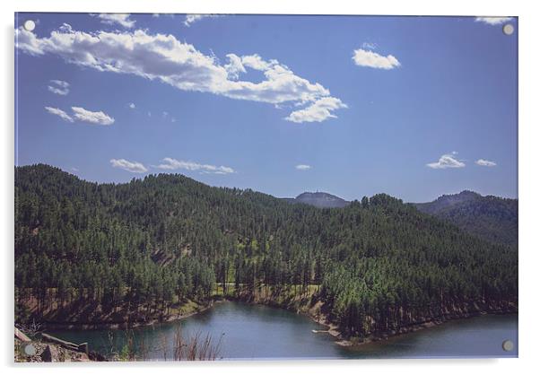 Rocky Mountain Lake 1 Acrylic by Judy Hall-Folde
